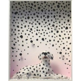 Volker Kühn "Schnee in Dalmatien" - Bild 1