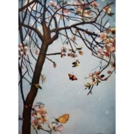Blüten im Mondlicht - Bild 1
