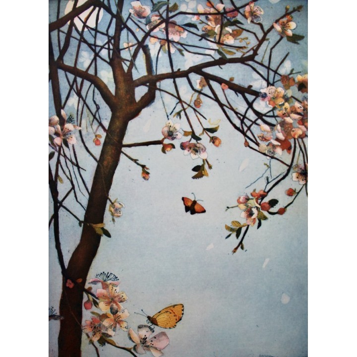 Blüten im Mondlicht - Bild 1
