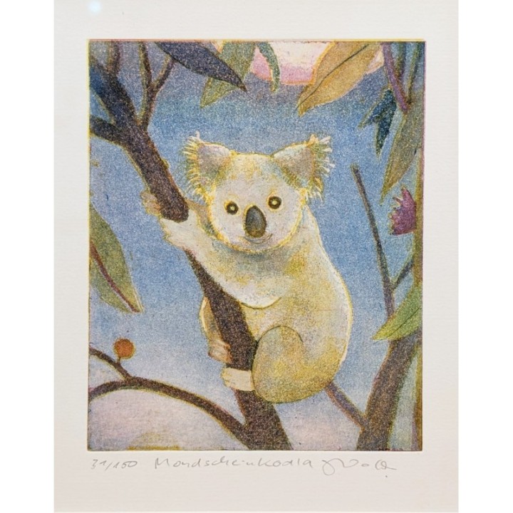 Mondscheinkoala - Bild 2