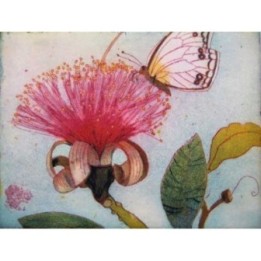 Naschender Schmetterling - Bild 1