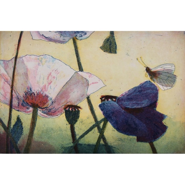 Blauer Mohn - Bild 1