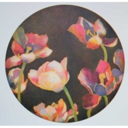 Nachttulpen - Bild 1