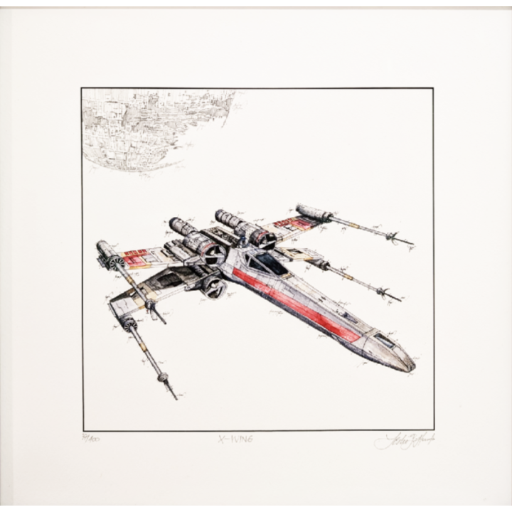 Leslie G. Hunt "X-Wing" - Bild 1