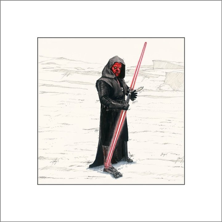 Darth Maul - Star Wars | Leslie G. Hunt - Bild 1