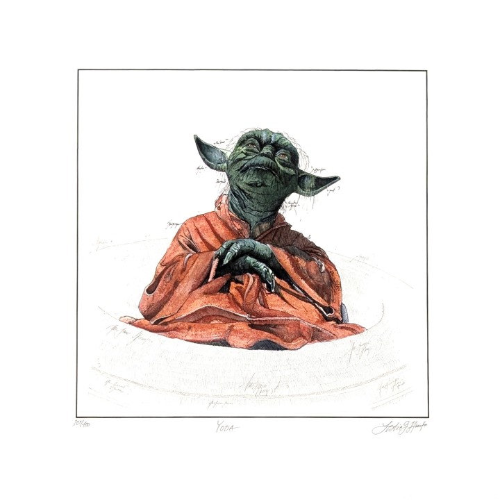 Yoda - Star Wars | Leslie G. Hunt - Bild 1