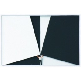 Volker Kühn "Black and White" | 3D-Objekt inkl. Rahmen - Bild 1
