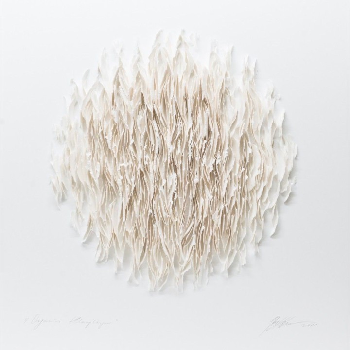 Organics - Klangkörper 100x100 (weiß)| 3D Papierobjekt von Gabriele Mierzwa - Bild 1