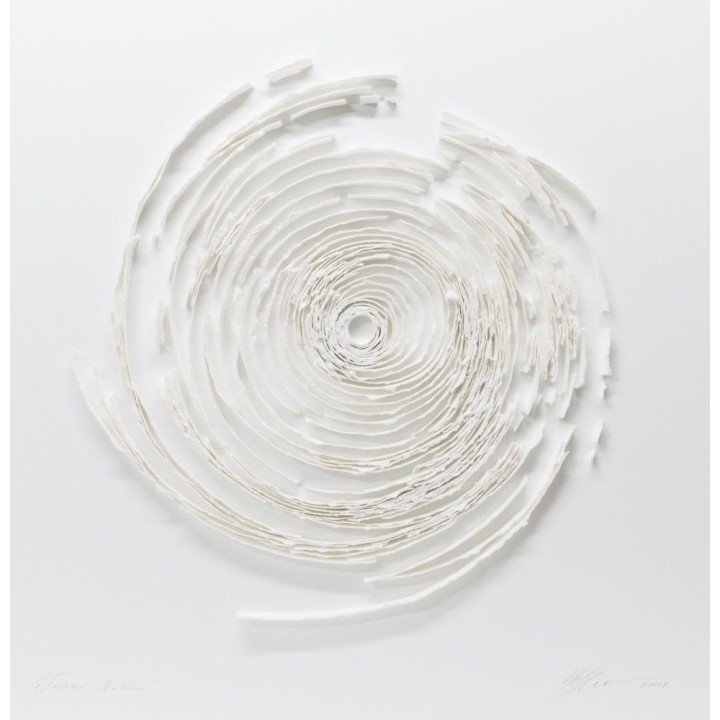 "Twister Nature" 100x100 | 3D Papierobjekt von Gabriele Mierzwa