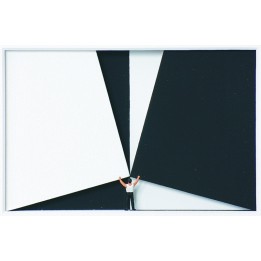 Volker Kühn "Black and White" | 3D-Objekt inkl. Rahmen - Bild 1