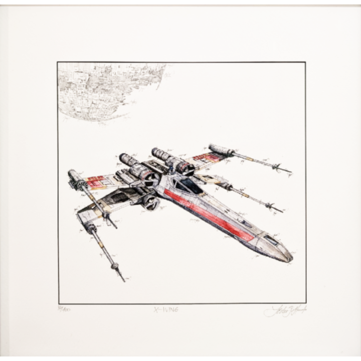 Leslie G. Hunt "X-Wing" - Bild 1