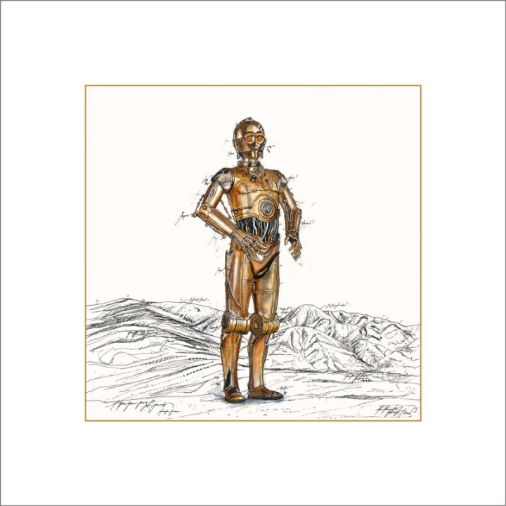 C-3PO - Star Wars | Leslie G. Hunt - Bild 1