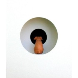 Volker Kühn "Guck mal!" | Original 3D-Objekt inkl. Rahmen - Bild 2
