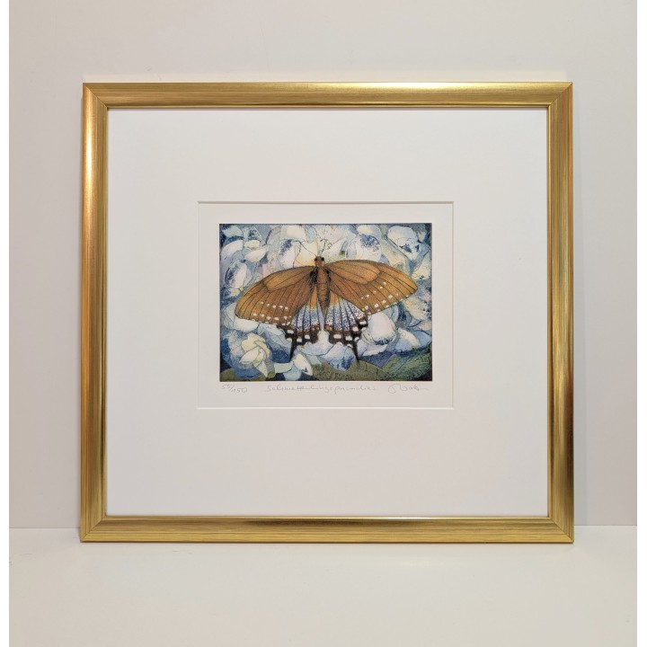 Jutta Votteler "Schmetterlingsparadies" Original Bild kaufen