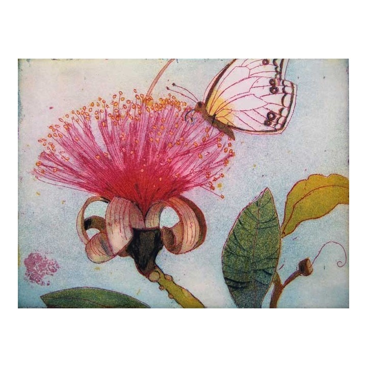 Naschender Schmetterling - Bild 1