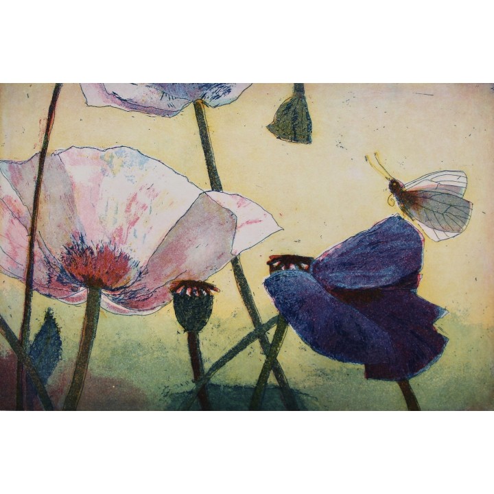 Blauer Mohn - Bild 1