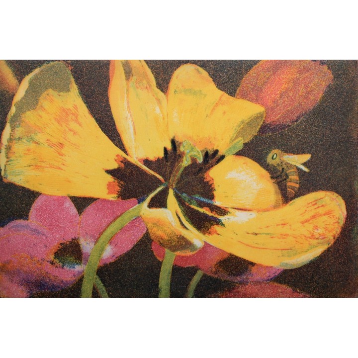 Leuchtende Tulpen - Bild 1