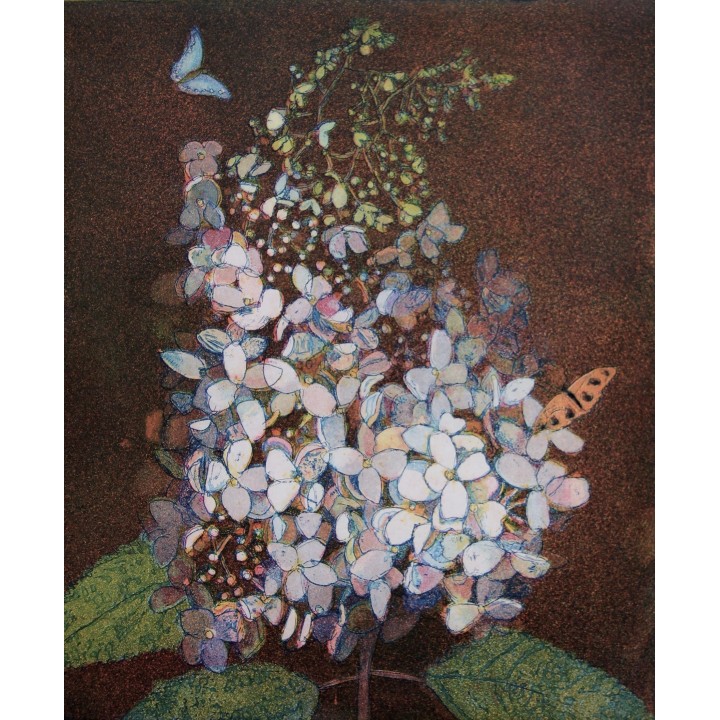 Kleine weiße Hortensie - Bild 1