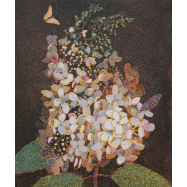 Hortensie mit gelbem Falter - Bild 1