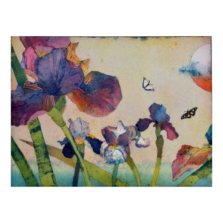 Blaue Iris - Bild 1